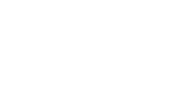 Turbo XS to Greddy Adapter - My Store