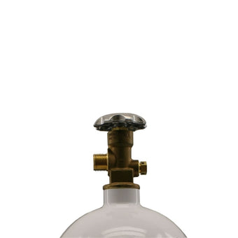 compare product Nitrous Express Brass Bottle Valve (Fits 10lb Bottles)