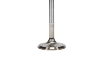 Manley Ford 4.6L 34mm Diameter 117.35mm Length Race Master Exhaust Valves (Set of 8) - My Store