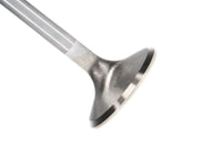 Manley Chevy LS - 1, LS - 2 Small Block 1.550 Pro Flo Severe Duty Exhaust Valves (Set of 8) - My Store