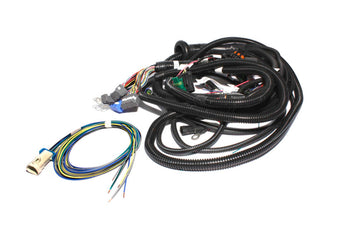 compare product FAST Wiring Harness FAST Main LT1