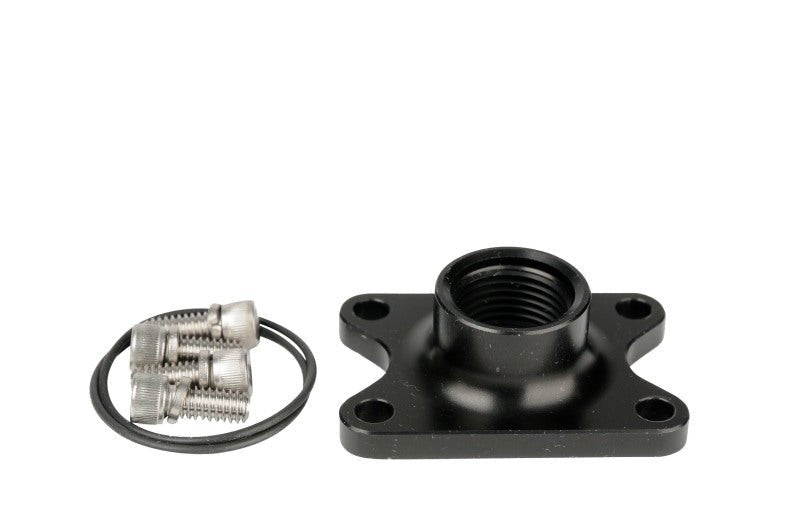 Aeromotive Spur Gear Pump Outlet AN - 10 Port - My Store