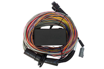compare product Haltech Elite 750 Premium Universal Wire-In Harness - 2.5m (8ft)