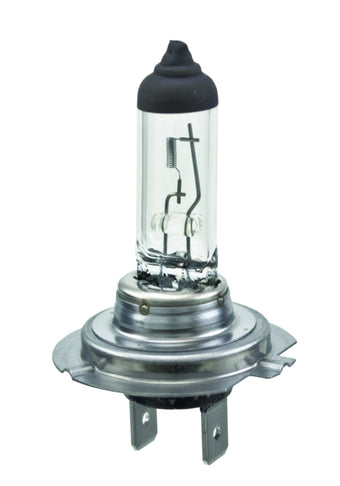 compare product Hella Halogen H7 Bulb
