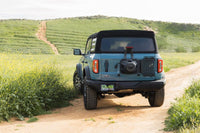 DV8 Offroad 2021 - 2025 Ford Bronco Tailgate Reinforcement Molle Panel - My Store