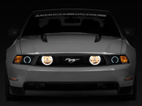 Raxiom 05 - 12 Ford Mustang GT LED Halo Fog Lights (Chrome) - My Store