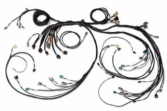 compare product Haltech NEXUS R5 DBW Terminated Harness - DBW Ready/Injector Connector EV6