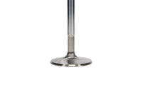 Manley Chevy LS - 1 Small Block 2.055 Pro Flo Severe Duty Exhaust Valves (Set of 8) - My Store