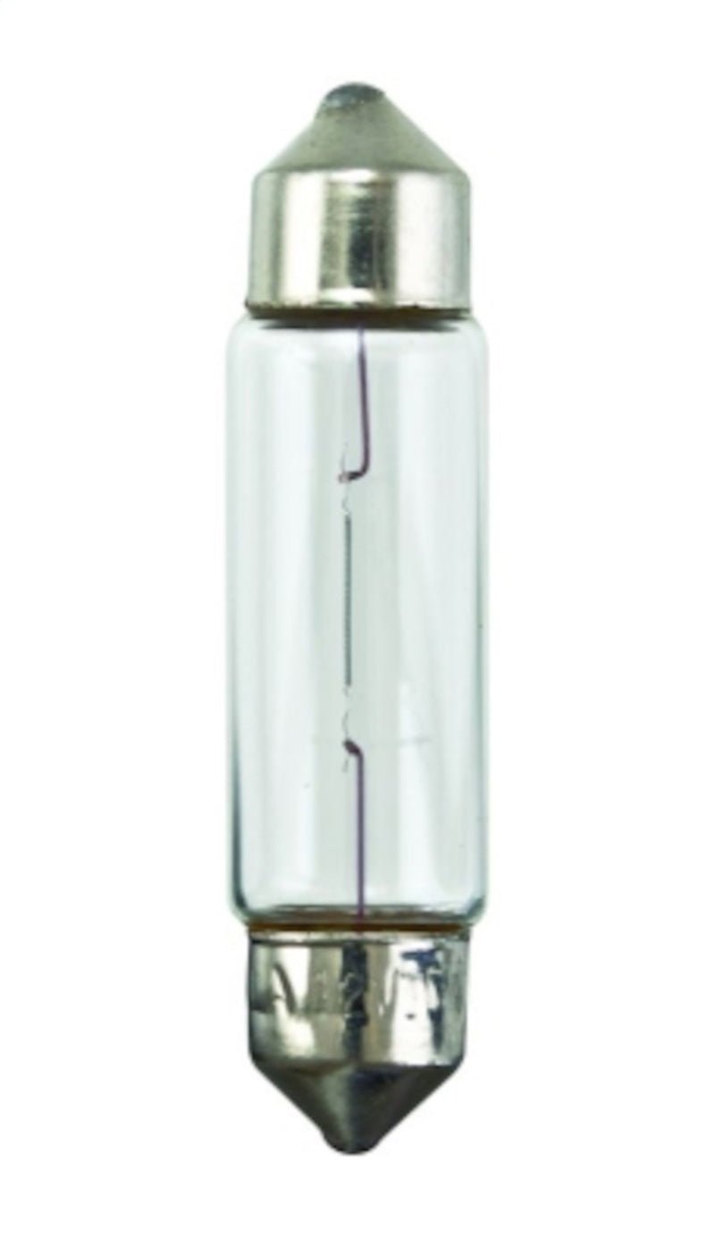 Hella Universal Clear 12V 10W 10x41mm T3.25 Bulb - My Store