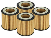 aFe Pro GUARD D2 Oil Filter 06 - 19 BMW Gas Cars L6 - 3.0T N54/55 - 4 Pack - My Store