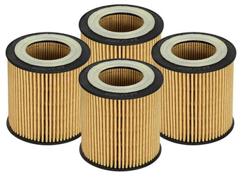 compare product aFe Pro GUARD D2 Oil Filter 06-19 BMW Gas Cars L6-3.0T N54/55 - 4 Pack