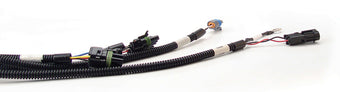 compare product FAST Wiring Harness FAST Main