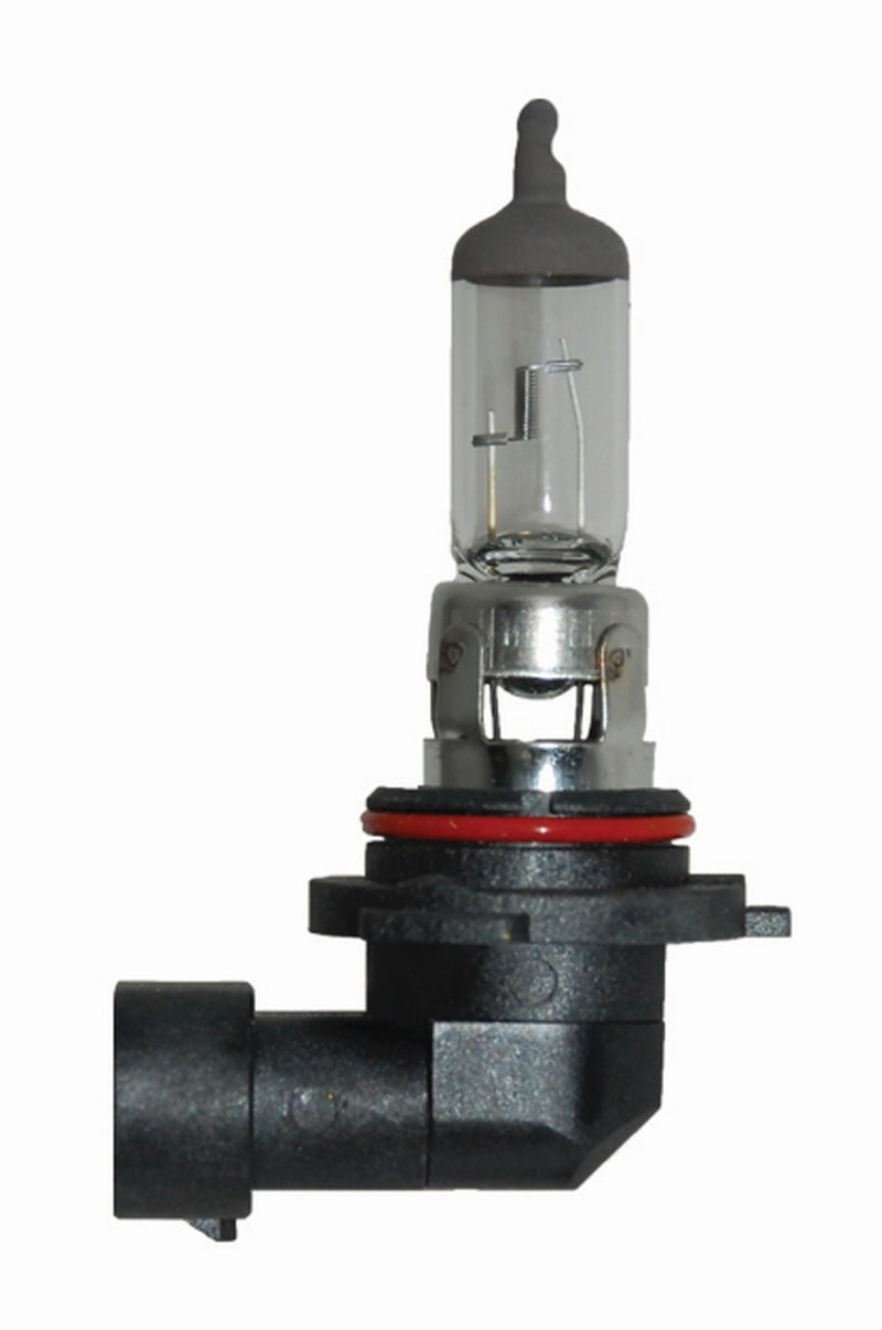 Hella 9006 12V 55W Halogen Bulb - My Store