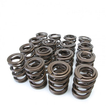 compare product Skunk2 Tuner Series Honda/Acura (H22A/F20B) DOHC VTEC Alpha Valve Spring Set (Dual Springs)