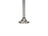 Manley Ford 4.6L/5.4L DOHC 4V 30mm Dia 4.587in Length Bead Loc Race Master Exhaust Valves (Set of 8) - My Store