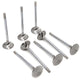 GSC P - D Nissan VR38DETT Chrome Polished Super Alloy Exhaust Valve - 32.15mm Head (STD) - Single - My Store