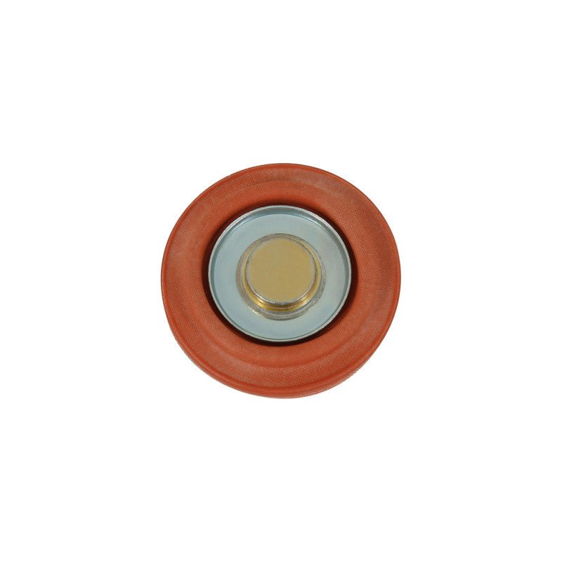AEM Universal Fuel Pressure Regulator Rebuild Kit - My Store