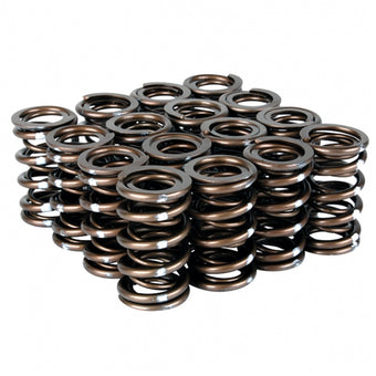 compare product Skunk2 Pro Series Honda/Acura K-Series i-VTEC XP Valve Spring Set (Dual Springs)