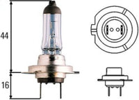 Hella Optilux H7 100W XB Extreme Blue Bulbs (Pair) - My Store