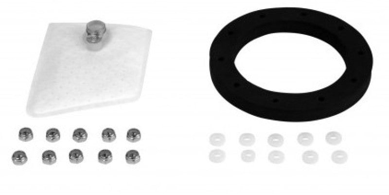 Aeromotive Replacement Strainer & Gasket Phantom Flex 18310 - My Store