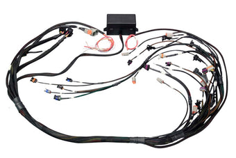 compare product Haltech GM GEN III LS1 & LS6 (Non DBW) Elite 2000/2500 Terminated Harness w/EV1 Injector Connectors
