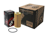 aFe Pro GUARD HD Oil Filter (4 Pack) - My Store
