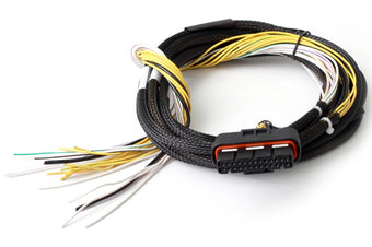 compare product Haltech HPI8 High Power Igniter 2m Flying Lead (Loom Only)