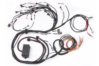 compare product Haltech Elite 2000/2500 Terminated Engine Harness w/EV1 Injector Connectors