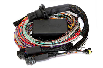 compare product Haltech Elite 2500/2500 T Premium Universal Wire-In Harness - 2.5m (8ft)