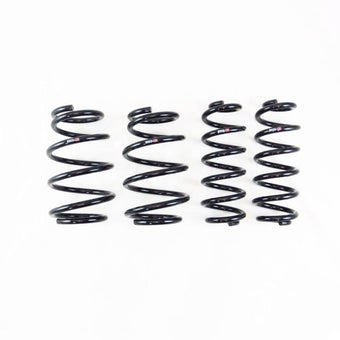 compare product RS-R 19-25 Toyota RAV4 Prime Down Sus Springs