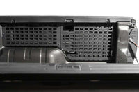 Photo - Close Up