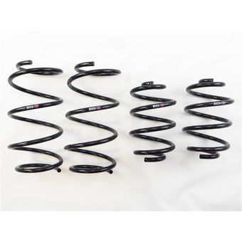compare product RS-R 13+ Nissan Sentra (TB17 (B17)) Down Sus Springs