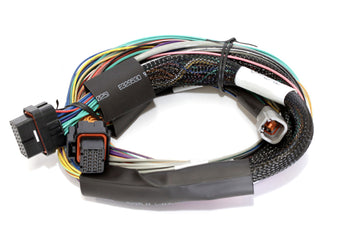 compare product Haltech Elite 2500 Basic Universal Wire-In Harness w/o Relays or Fuses - 2.5m (8ft)