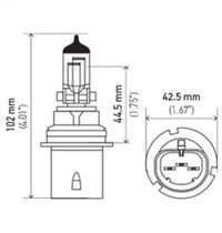 Hella Bulb 9004 12V 65/45W Xen Wht Xb (2) - My Store