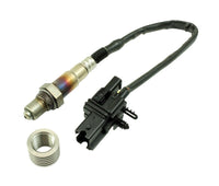 AEM Universal Wideband UEGO Sensor with Stainless Manifold Bung Install Kit - My Store