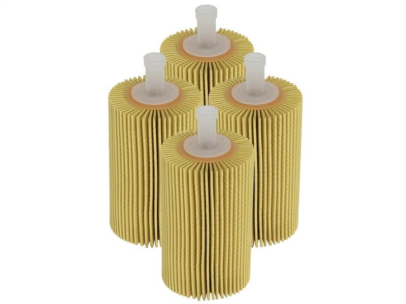 aFe Pro GUARD D2 Oil Filter 07 - 17 Toyota Tundra/Sequoia V8 4.6L/5.7L (4 Pack) - My Store