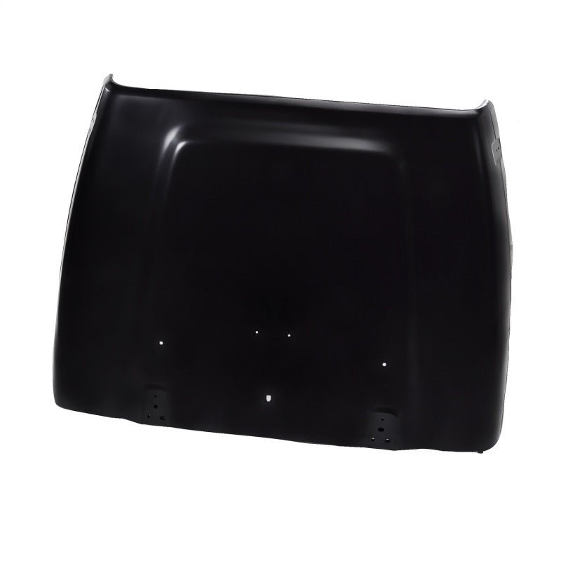 Omix Hood - 00 - 06 Jeep Wrangler - My Store