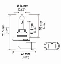 Hella Bulb 9005 12V 65W P20D T4 +50 (2) - My Store