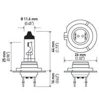 Hella H7 12V 55W PX26D HP 2.0 Halogen Bulbs - My Store