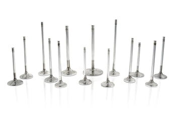 compare product Ferrea Honda F20C/F22C 36mm 5.48mm 109.8mm 20 Deg S-Flo Stock Comp Plus Intake Valve - Set of 8