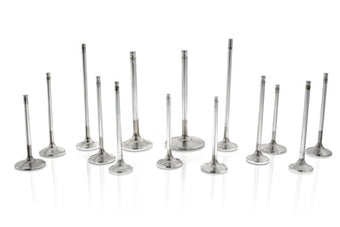 compare product Ferrea Ford Coyote 5.0L 1.47in 4.72in 12 Deg S-Flo 3 Rad Grv 6000 Series Intake Valve - Set of 16