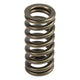 Comp Cams Valve Spring, Ford Powerstroke 6.0/6.4 - My Store