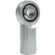 Photo - Primary