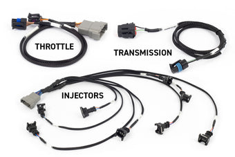 compare product Haltech NEXUS Rebel LS Gen III Cable Throttle/EV1 Injectors/Manual Transmission