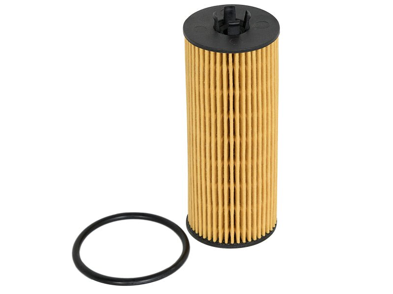 aFe PROGUARD Oil Filter - 4 Pack - My Store
