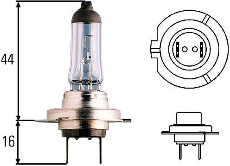 Hella Optilux H7 100W XB Extreme Blue Bulbs (Pair) - My Store