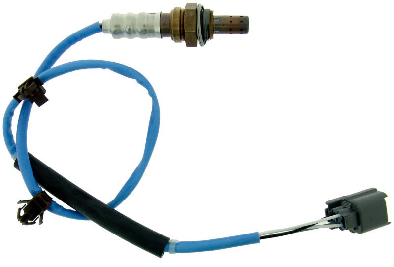 Oxygen Sensors