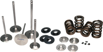 compare product Ferrea Acura/Honda B18/B16 High Pressure Dual Spring Kit