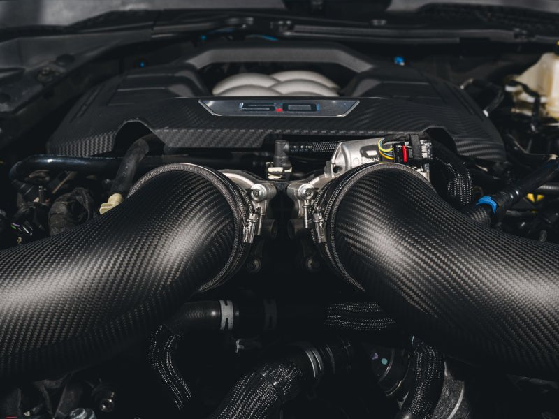AWE Tuning 24 - 26 Ford S650 Mustang GT/Dark Horse S - FLO Carbon Intake - My Store