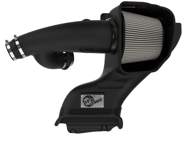 aFe MagnumFORCE Intake Stage - 2 Pro DRY S 2021 Ford F - 150 V6 - 3.5L (tt) - My Store